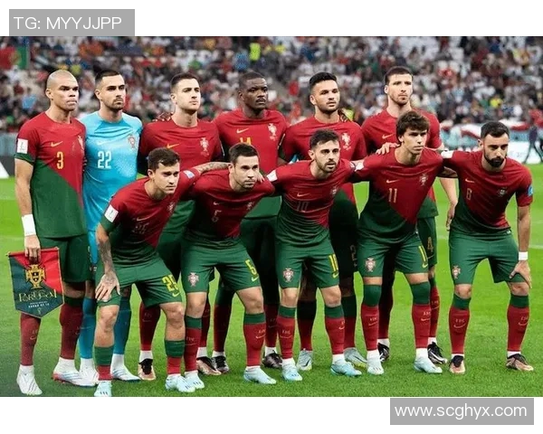 葡萄牙对阵新西兰精彩直播全程回顾与赛后分析