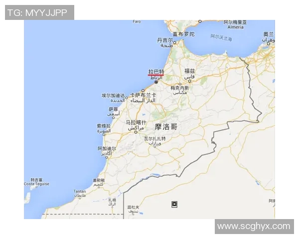 西班牙与摩洛哥交易盈亏分析及策略探讨